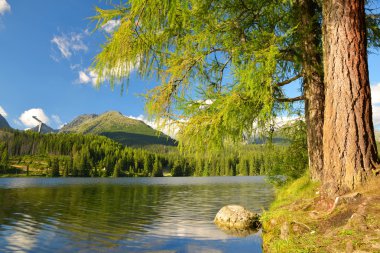 Mountain lake Strbske pleso in National Park High Tatras, Slovakia, Europe stock vector