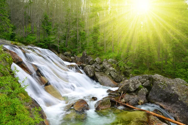 Waterfalls at stream Studeny potok in High Tatras mountains — Stock Photo, Image