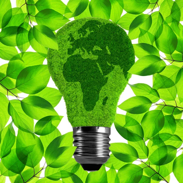 Eco light bulb — Stock Photo, Image