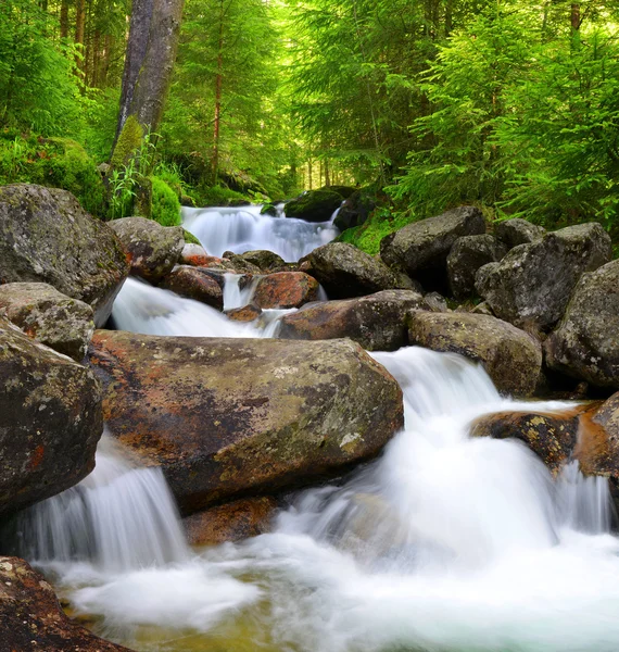 Wasserfall am Bach — Stockfoto