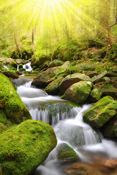 Horský potok v národním parku Šumava — Stock fotografie