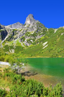  Dağ gölü Zelene pleso Milli Parkı yüksek Tatra içinde. Slovakya, Europe. 