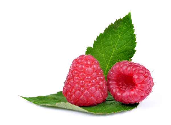 Sweet raspberry with leaf — Stock Photo, Image