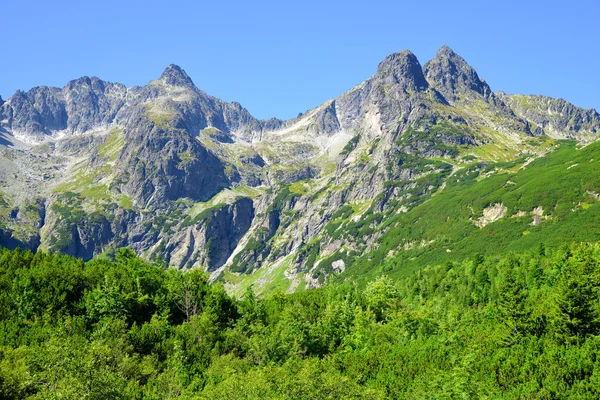 多 Zeleneho plesa 谷在高塔特拉山 — 图库照片