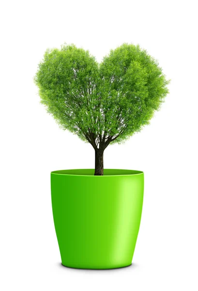 树在生长在绿色盆栽的心形状 — 图库照片