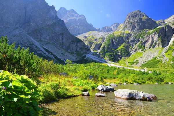 Dağ gölü Zelene pleso Milli Parkı yüksek Tatra içinde. — Stok fotoğraf