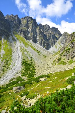 Dağ sırtı yüksek Tatras sak