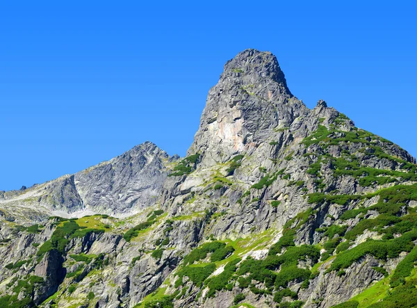 Jastrabia veza in der hohen Tatra — Stockfoto