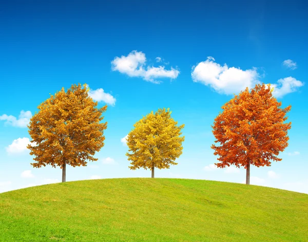 Herfst landschap met kleurrijke bomen — Stockfoto