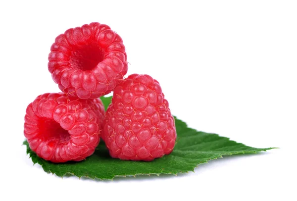 Sweet raspberry with leaf — Stock Photo, Image