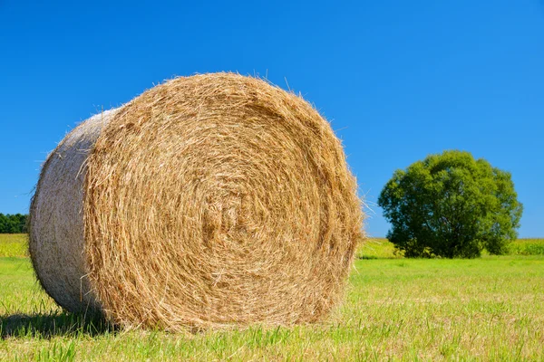 Straw bale on meadow — Stock Photo, Image