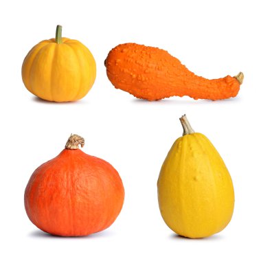 Sarı ve turuncu kabak