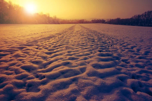 겨울 눈덮인 풍경 — 스톡 사진