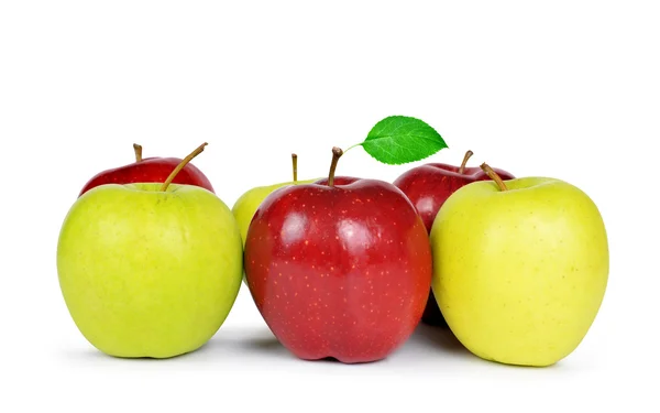 Red and green apples — Stock Photo, Image