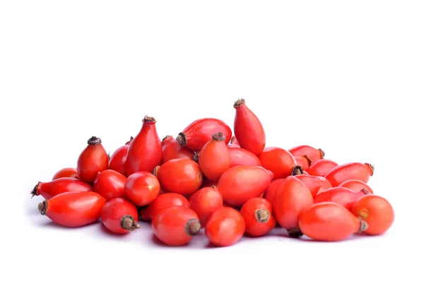 Rose HIPS (Rosa canina) — Stok fotoğraf