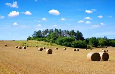 Mavi gökyüzüne sahip tarım arazileri üzerinde saman balyaları. Kırsal arazi..