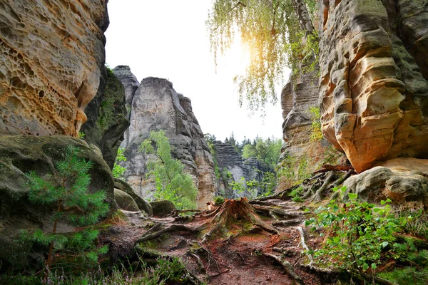 Pedra Arenito Prachovske Skaly Bohemian Paradise Cesky Raj Czechia — Fotografia de Stock