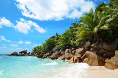 Hint Okyanusu, Seyşeller 'de La Digue Adası' nda büyük granit taşlı Anse Cocos plajı.