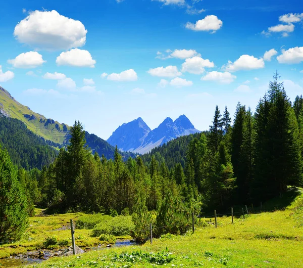 柏根镇附近美丽的山景 瑞士格劳宾登州Albula地区阿尔卑斯山 — 图库照片