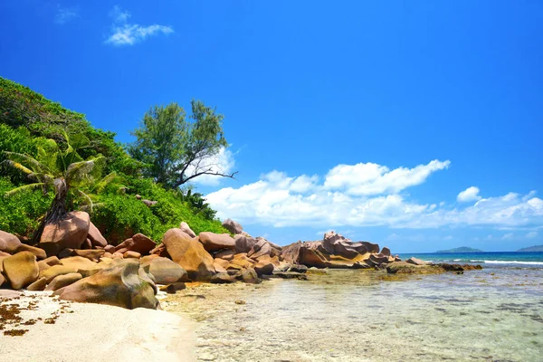 Anse Fourmis Beach Digue Island Indian Ocean Seychelles Tropical Travel — Stock Photo, Image