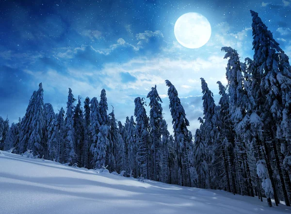 Snowy Winter Landscape Night National Park Sumava Czech Republic — Stock Photo, Image