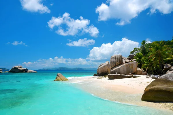Τροπική Παραλία Φοίνικες Καρύδας Στο Coco Island Ινδικό Ωκεανό Σεϋχέλλες — Φωτογραφία Αρχείου