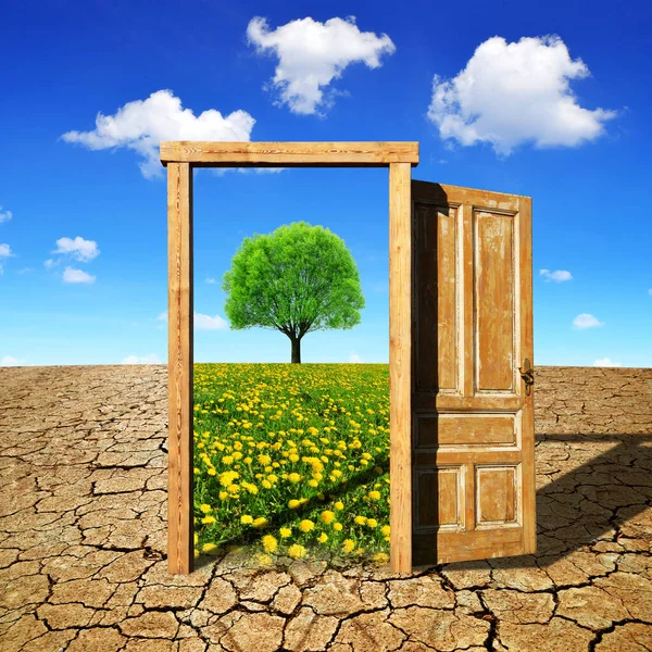 Dry Country Cracked Soil Open Wooden Door Beautiful Spring Landscape — Stock Photo, Image