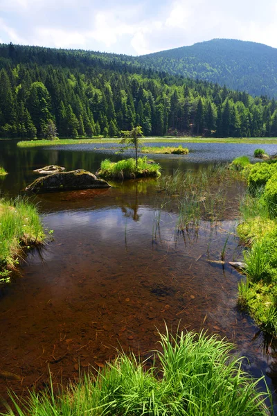 Jezioro Kleiner Arbersee Parku Narodowym Las Bawarski Niemcy — Zdjęcie stockowe