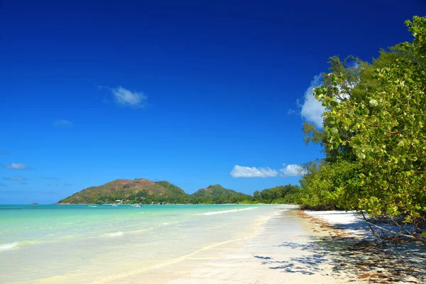 Plage Sable Tropical Anse Volbert Avec Mer Turquoise Île Praslin — Photo