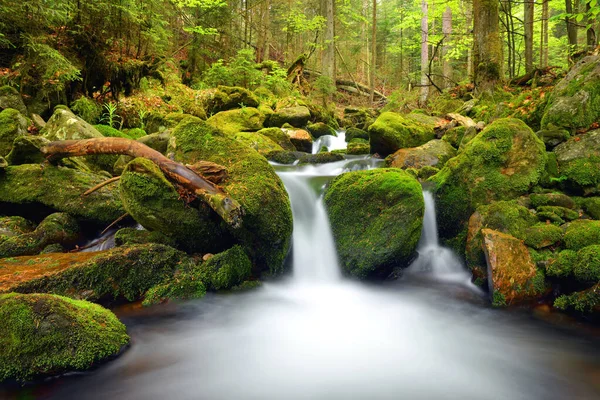 Vattenfall Vid Black Creek Nationalparken Sumava Tjeckien Fjällbäck Som Rinner — Stockfoto