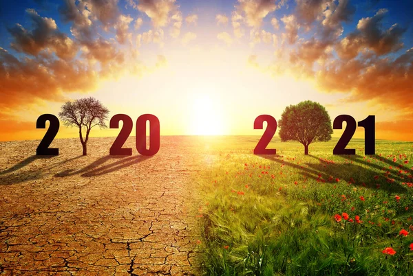 Number 2020 Dry Country Cracked Soil 2021 Green Field Concept — Stock Photo, Image