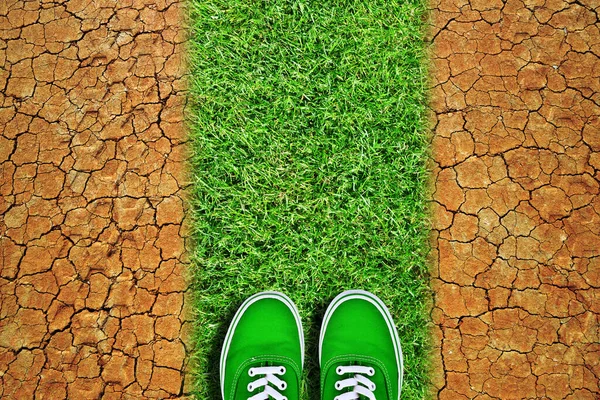 Zapatillas Verdes Camino Desde Hierba Tierra Seca Agrietada Calentamiento Global —  Fotos de Stock