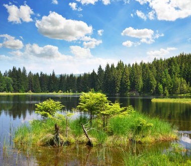 Kleiner Arbersee Gölü Ulusal Park Bavyera Ormanı, Almanya.