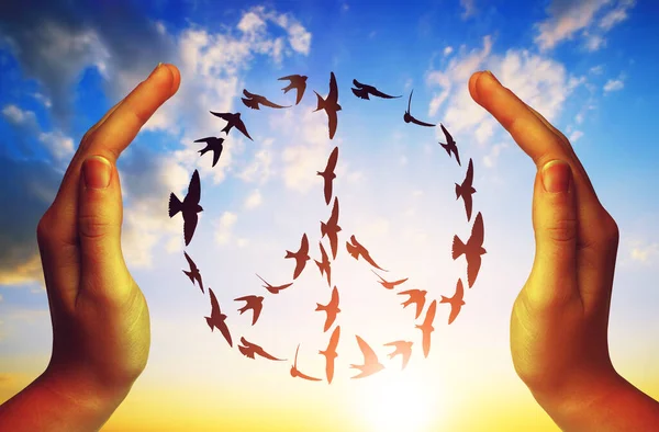 Χέρια Και Πουλιά Που Πετούν Σχηματισμό Συμβόλων Ειρήνης Στον Ουρανό — Φωτογραφία Αρχείου