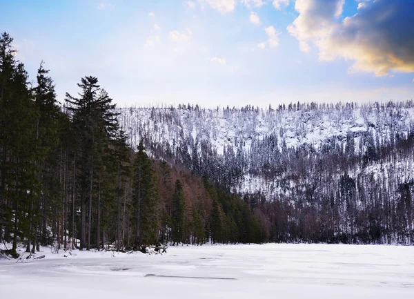 Paisagem Inverno Floresta Boêmia Lago Negro Cerne Jezero Parque Nacional — Fotografia de Stock