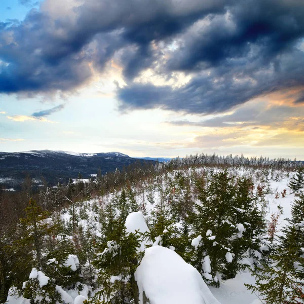 Paysage Hivernal Lever Soleil Parc National Sumava Vue Depuis Montagne — Photo