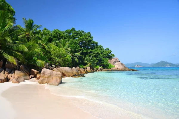 Sand Beach Palm Trees Granite Boulders Anse Severe Digue Island — Fotografia de Stock