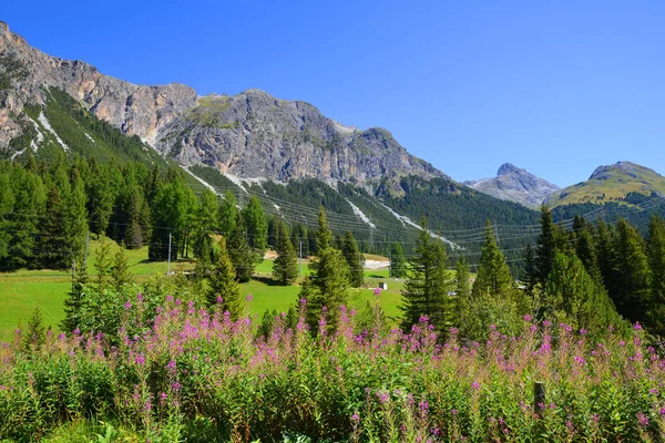 Prachtig Berglandschap Nabij Stad Bergun Albula Region Kanton Graubunden Zwitserse — Stockfoto