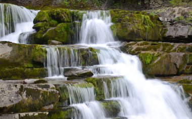 Ordesa ve Monte Perdido Ulusal Parkı 'ndaki şelale. Pireneler dağı. Huesca ili, İspanya.