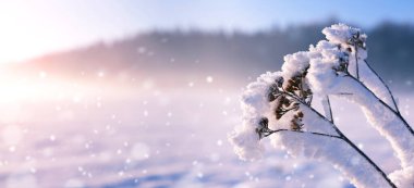 Güneşin doğuşunda fabrikada don birikir. Kış mevsimi. Doğada güzellik.