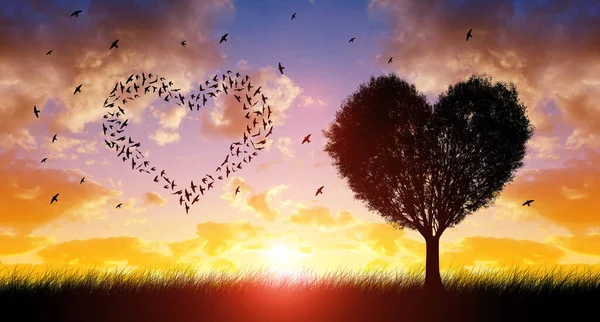 Silhouette the tree and flock of birds flying in the heart formation at sunset sky. Happy Valentine\'s day.