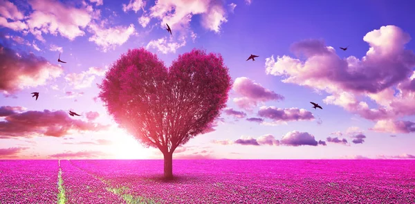 Surreal landscape with pink tree in the shape of heart on blooming meadow at sunset sky. Happy Valentine\'s day.