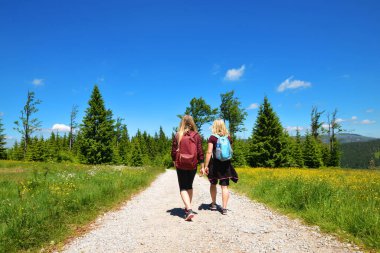 Turistler, Almanya 'nın Bayerischer Wald kentinde Ulusal Park' a geziye çıktılar..