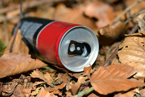Пустой напиток может лежать как мусор в лесу. Концепция охраны природы.