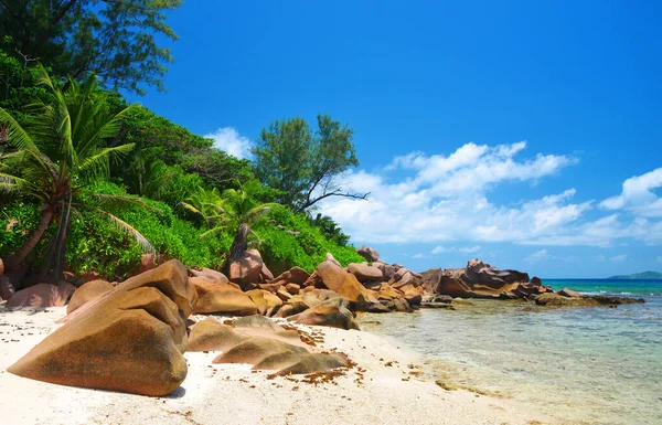 Anse Fourmis Strand Digue Island Indiai Óceán Seychelles Egzotikus Úti — Stock Fotó