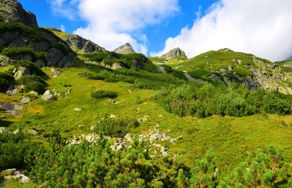 Mengusovska Valley Vysoke Tatry Hoge Tatra Slowakije Berglandschap Westelijke Karpaten — Stockfoto