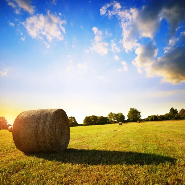 Straw Bale Meadow Sunset Summer Rural Landscape — Stock Photo, Image