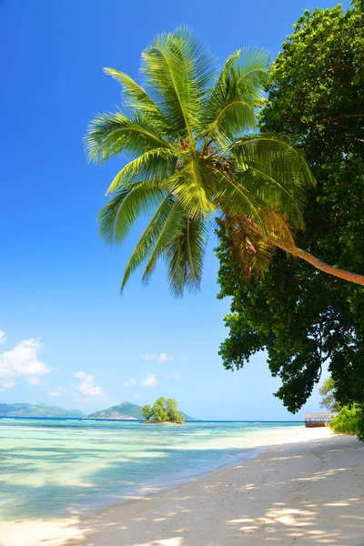 Anse Union Playa Digue Island Océano Índico Seychelles — Foto de Stock