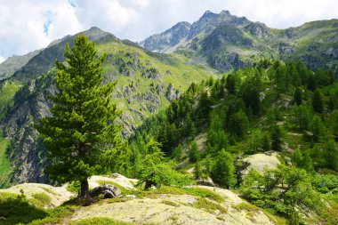 İtalya 'nın kuzeybatısındaki La Thuile, Aosta Vadisi yakınlarındaki yaz manzarası.