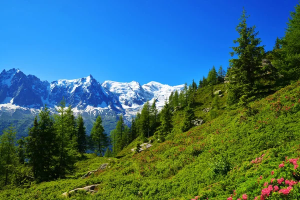 Campagne Avec Chaîne Montagnes Mont Blanc Par Temps Ensoleillé Réserve Images De Stock Libres De Droits